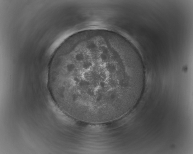 X0000116831415200912181423