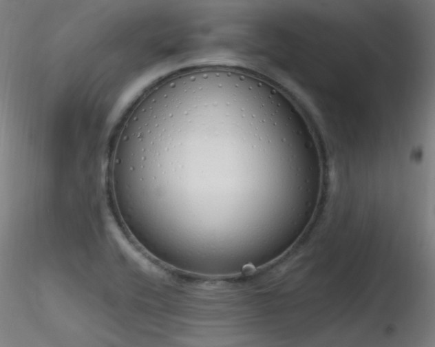 X0000116831416200912181423