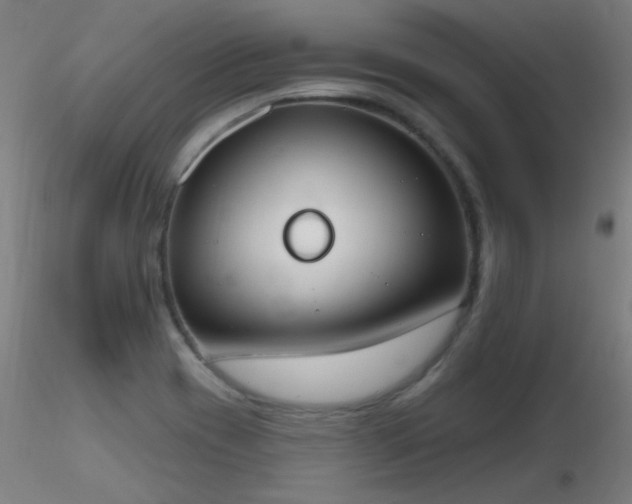X0000116831417200912181423