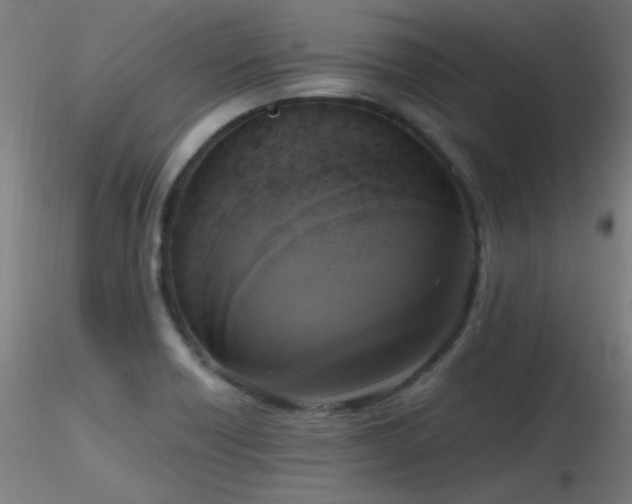 X0000116831418200912181423