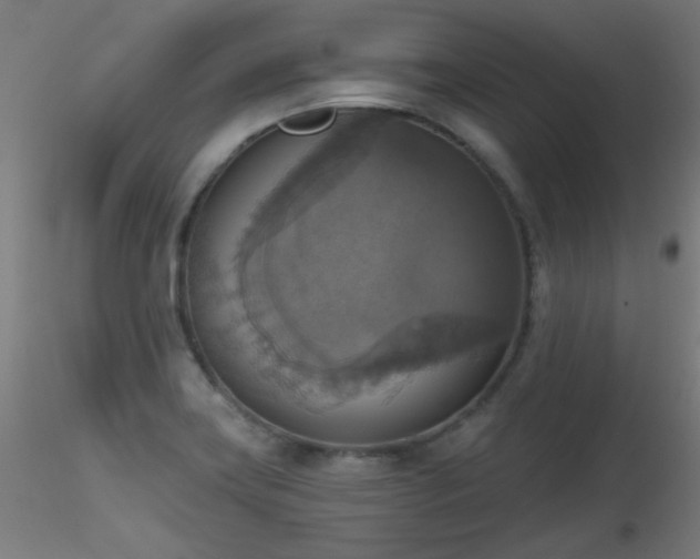 X0000116831419200912181423
