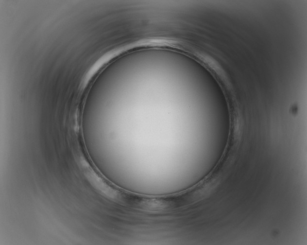 X0000116831420200912181423