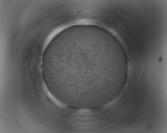 X0000116831421200912181423