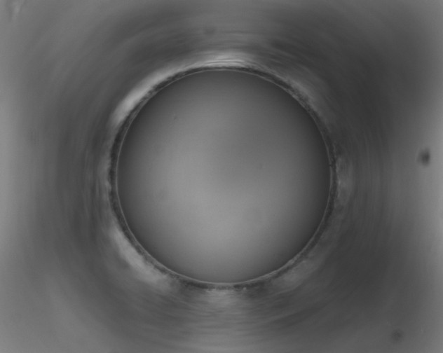X0000116831422200912181423