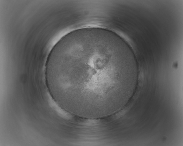 X0000116831423200912181423