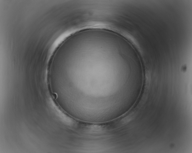 X0000116831424200912181423