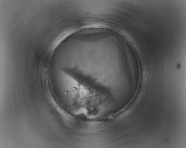 X0000116831425200912181423