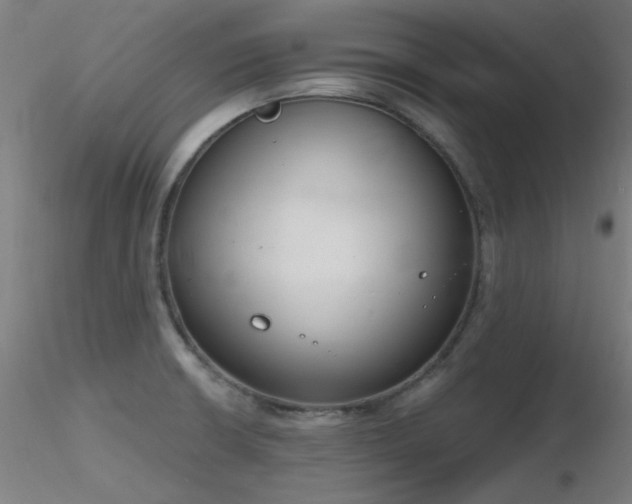 X0000116831426200912181423