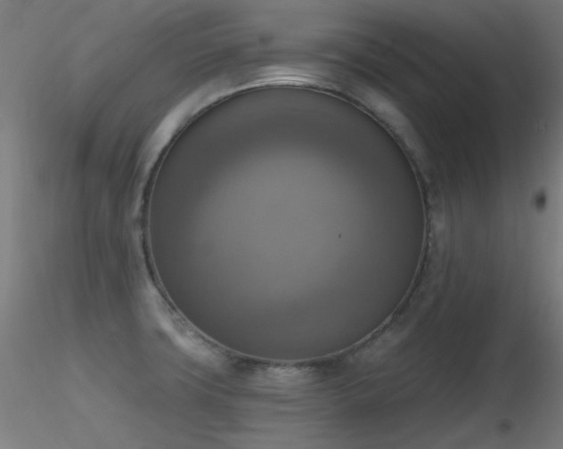 X0000116831427200912181423