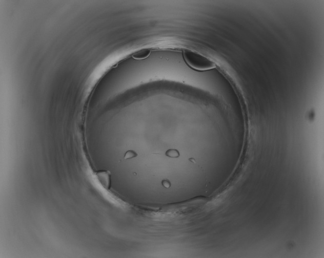 X0000116831429200912181423