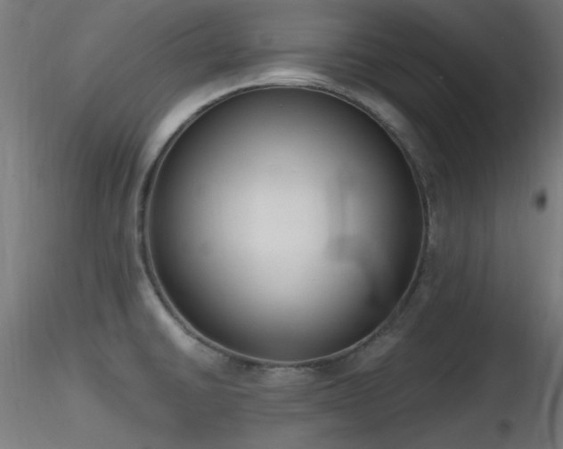 X0000116831430200912181423