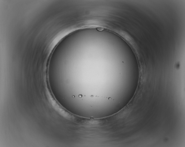 X0000116831431200912181423