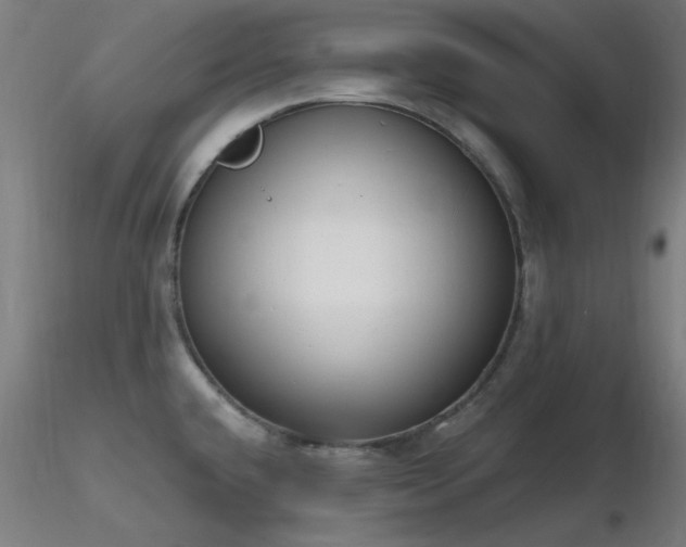 X0000116831432200912181423