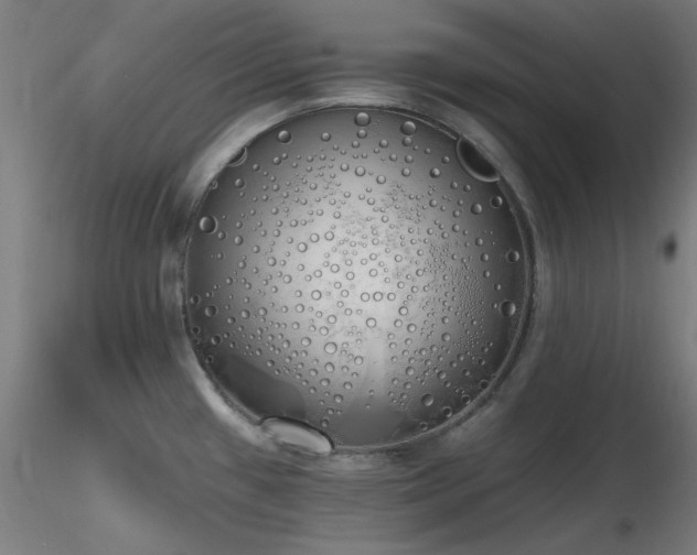 X0000116831433200912181423