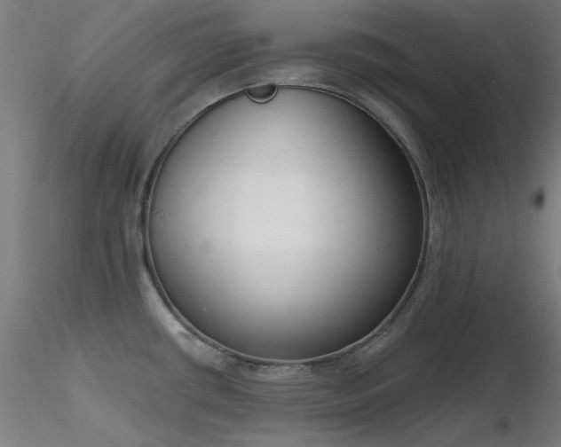 X0000116831434200912181423