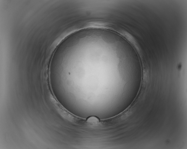 X0000116831435200912181423