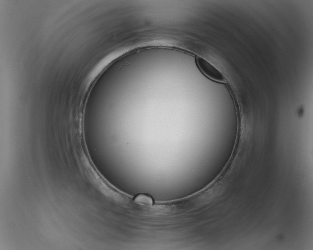X0000116831436200912181423