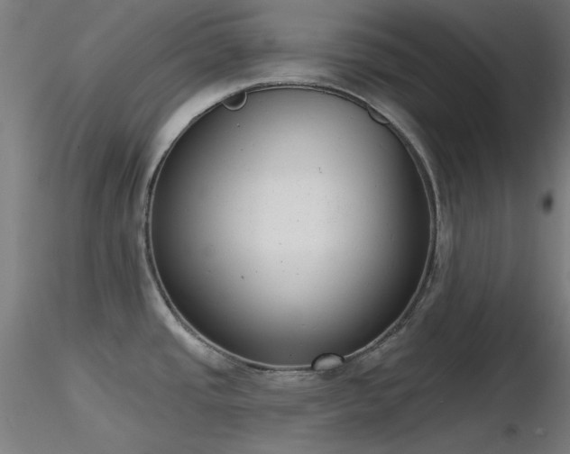 X0000116831437200912181423