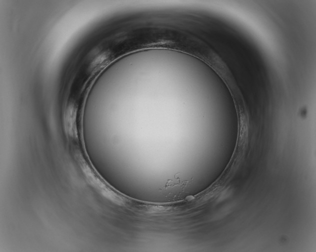 X0000116831439200912181423