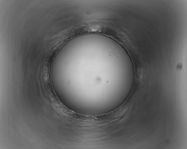 X0000116831442200912181423