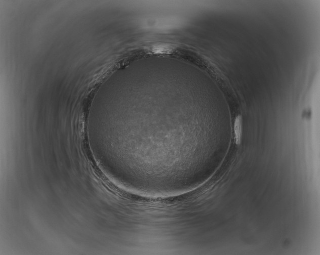 X0000116831443200912181423