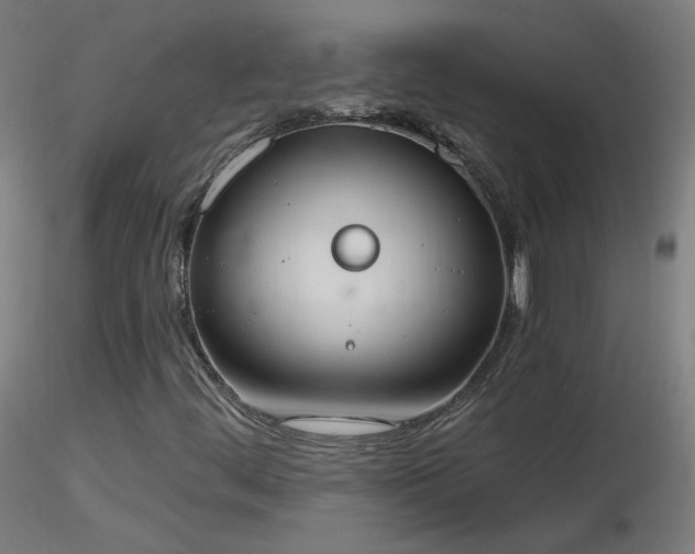 X0000116831444200912181423