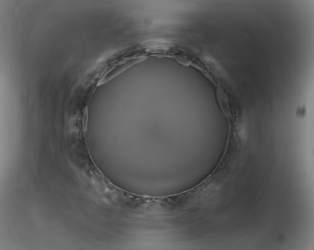 X0000116831445200912181423