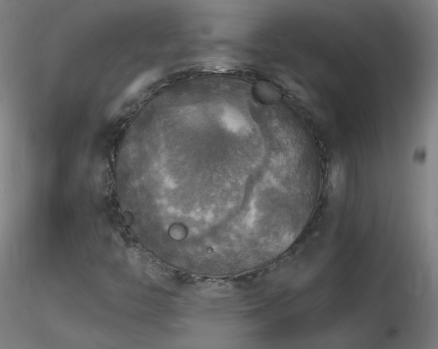 X0000116831446200912181423