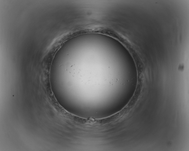 X0000116831447200912181423