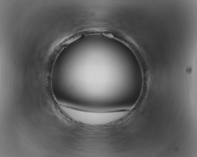 X0000116831448200912181423