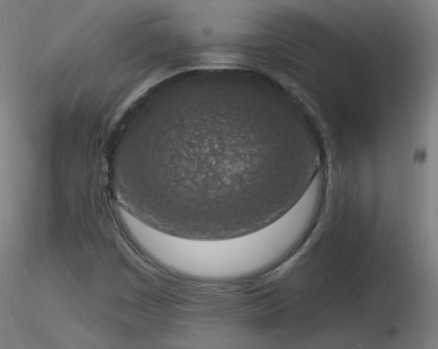 X0000116831449200912181423