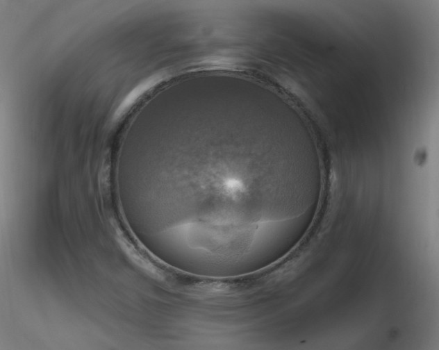X0000116831450200912181423