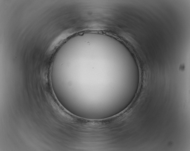 X0000116831451200912181423