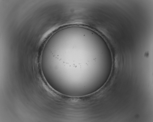 X0000116831452200912181423