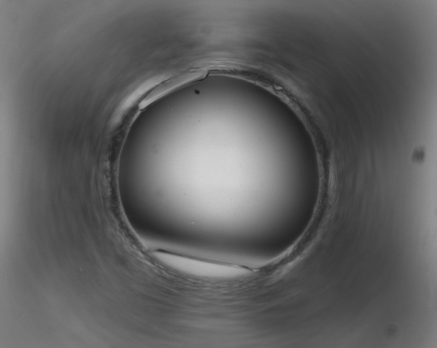 X0000116831453200912181423