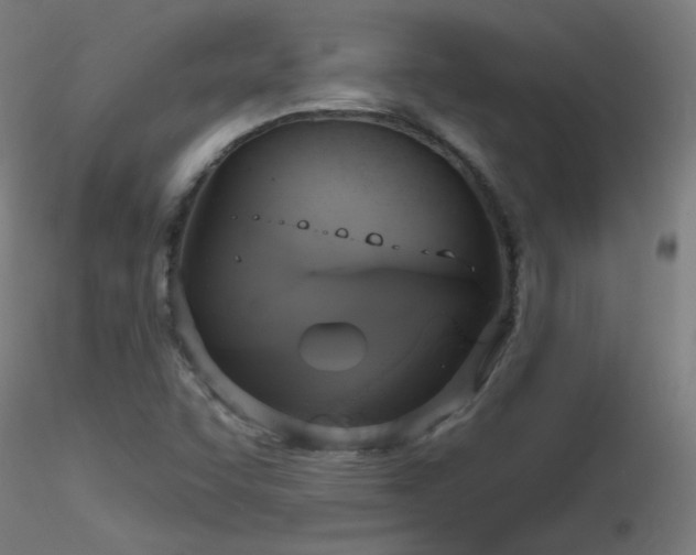 X0000116831455200912181423
