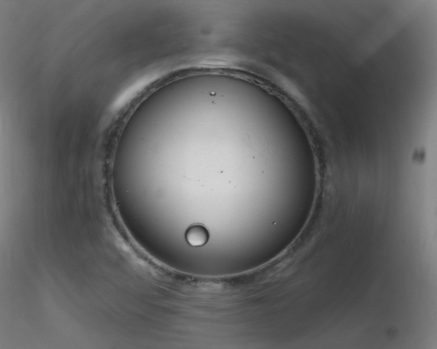 X0000116831456200912181423