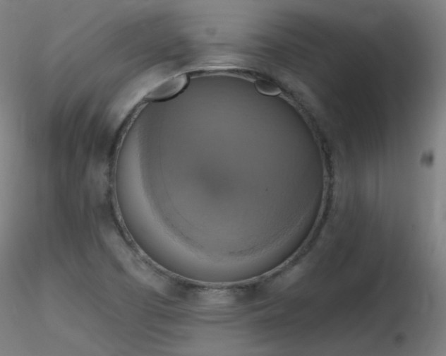 X0000116831457200912181423