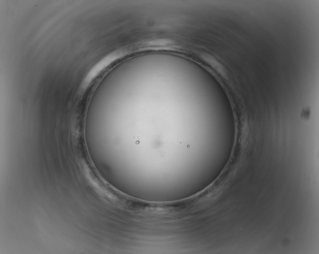 X0000116831458200912181423