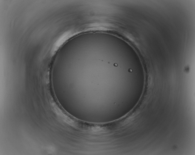 X0000116831459200912181423