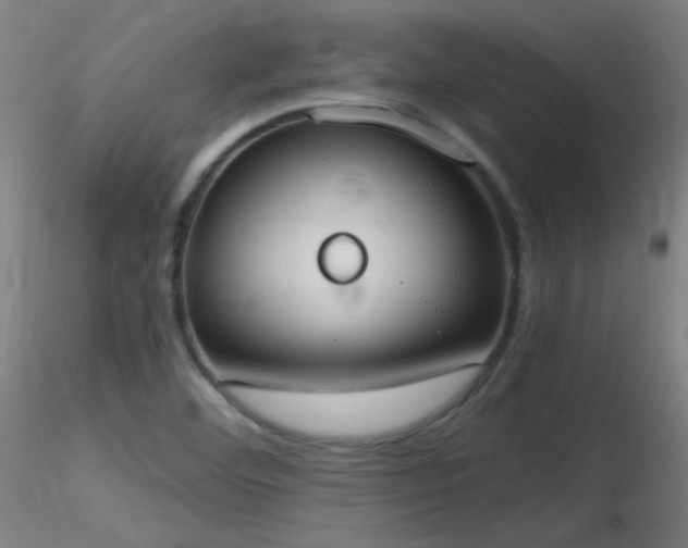 X0000116831460200912181423