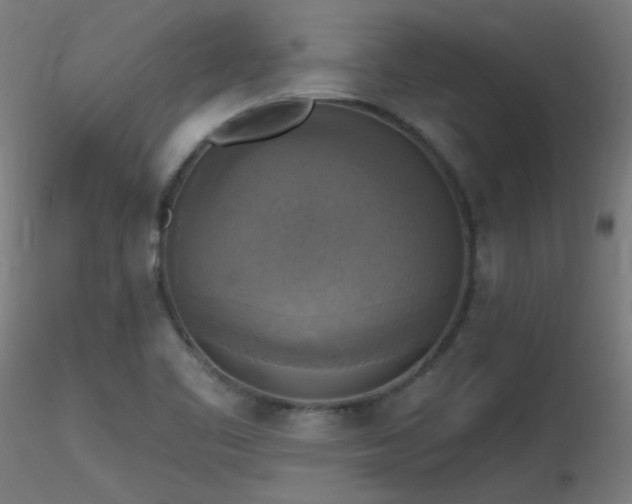 X0000116831461200912181423