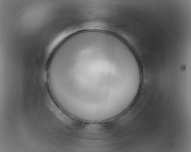 X0000116831462200912181423
