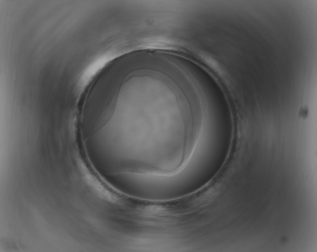 X0000116831463200912181423