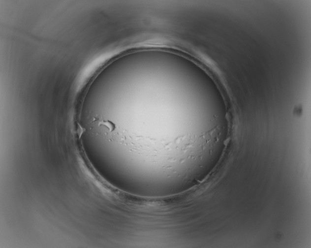 X0000116831464200912181423