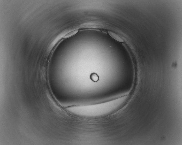 X0000116831465200912181423