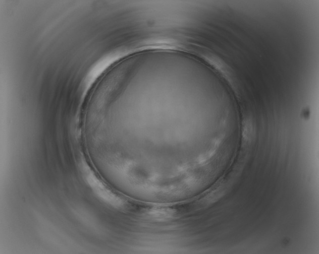 X0000116831466200912181422