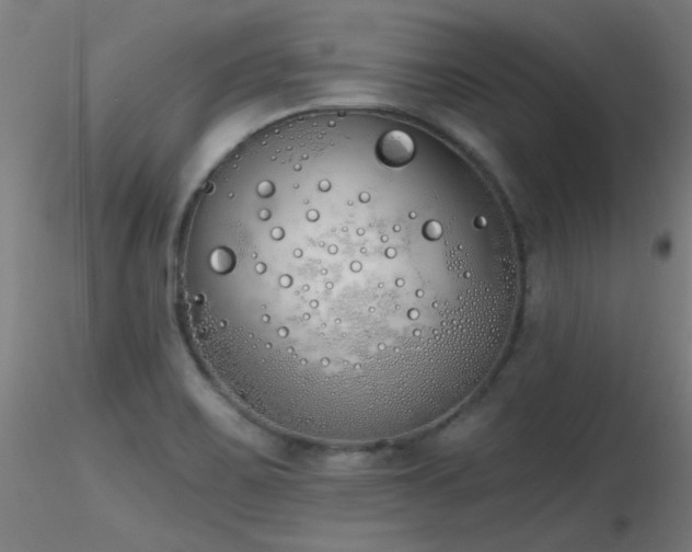 X0000116831467200912181422