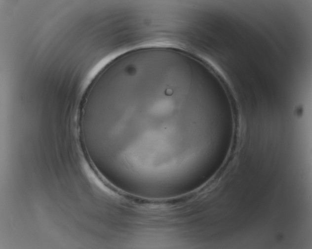 X0000116831468200912181422