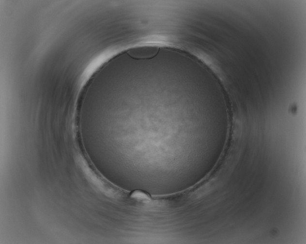 X0000116831469200912181422